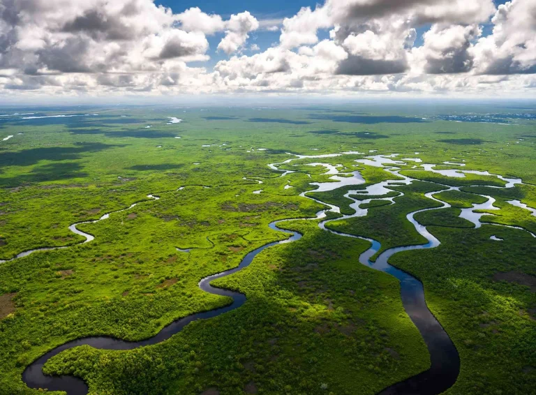 Everglades National Park: Explore the Wild