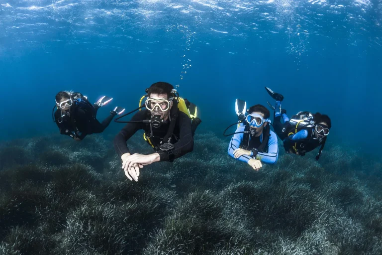 Top Scuba Diving Spots in Miami